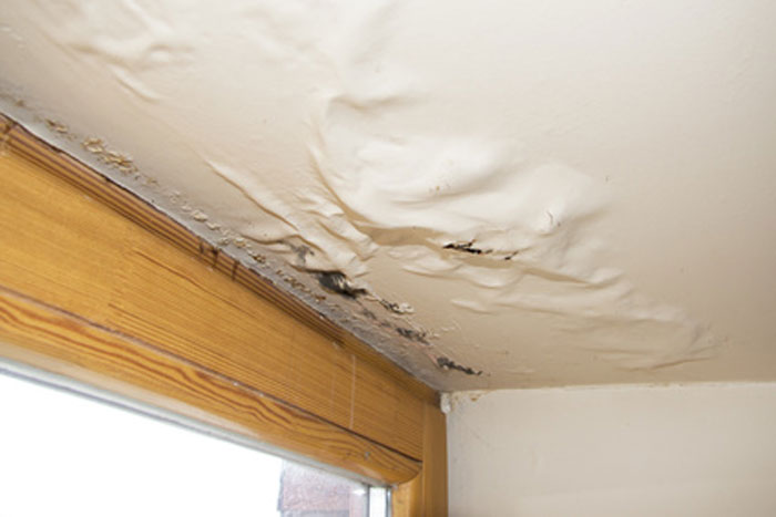 Signs of Water Damage in Your Property and How to Deal with It